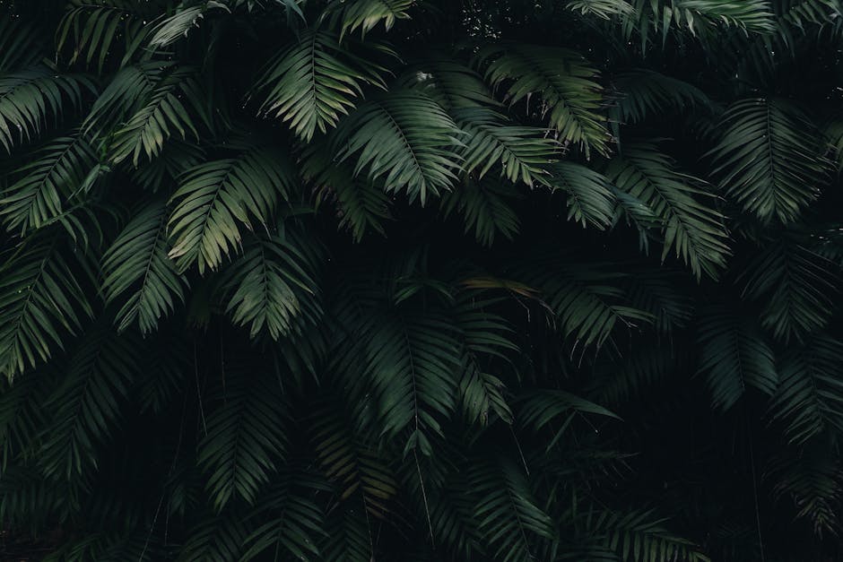 Green and Sustainable Retail Initiatives